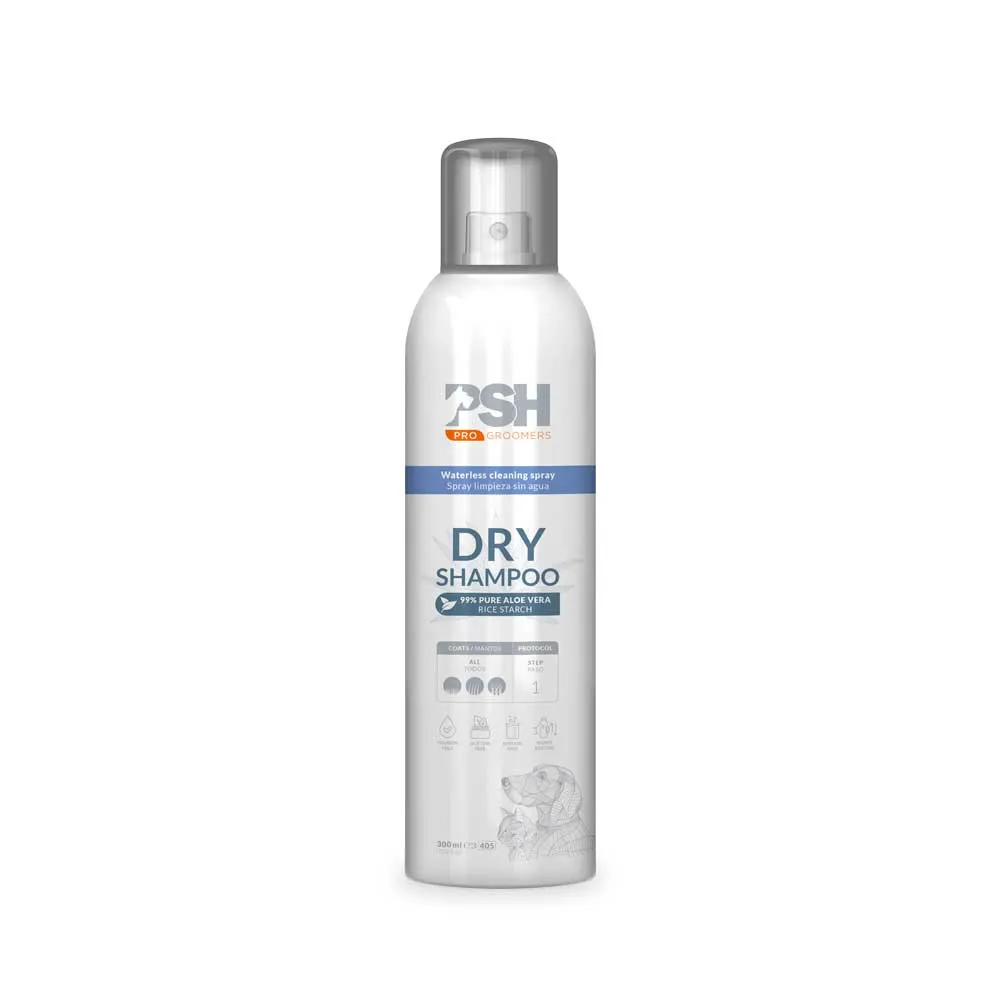 DRY SHAMPOO 300ml