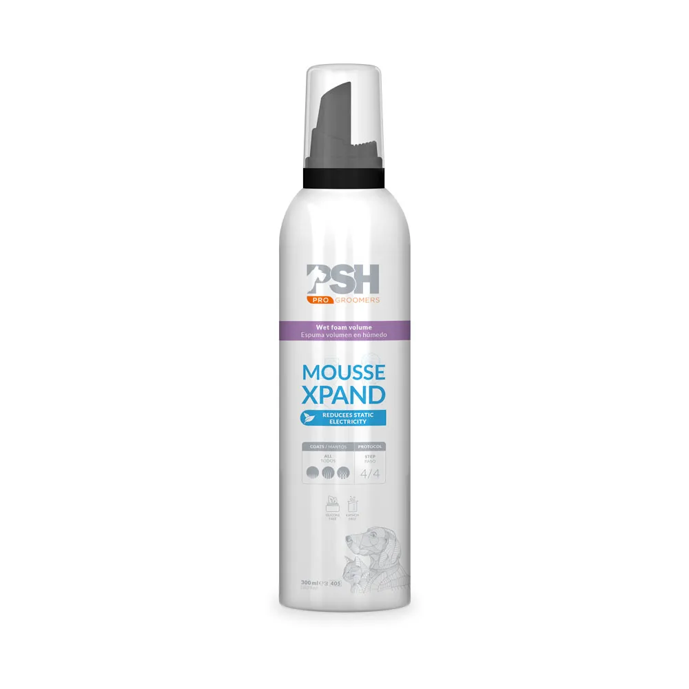 MOUSSE XPAND FOAM 300ml
