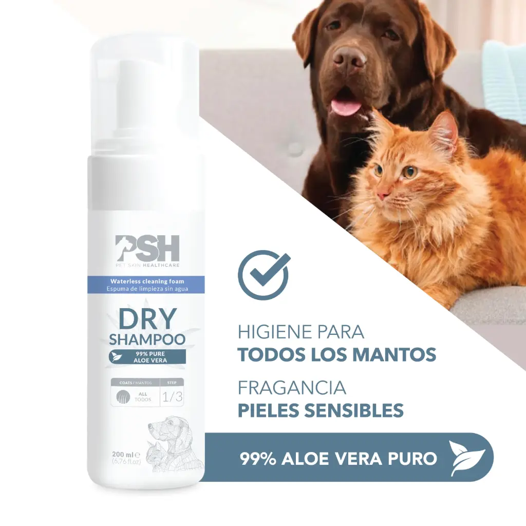 DRY SHAMPOO FOAM PSH 200ml