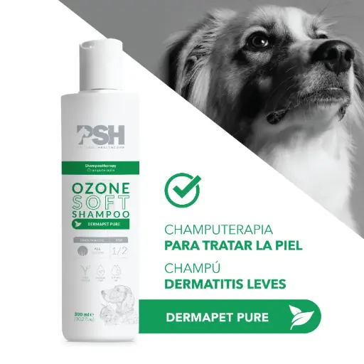 [PSH1401CHSO] OZONE SOFT SHAMPOO 300ml